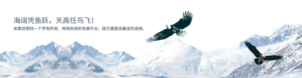 广东半导体封装技术